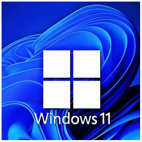 Buy Microsoft Windows 11 Pro USB - Retail Version with Permanent License