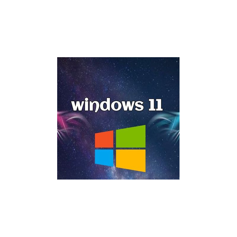 Buy Microsoft Windows 11 Pro USB - Retail License | Permanent Activation