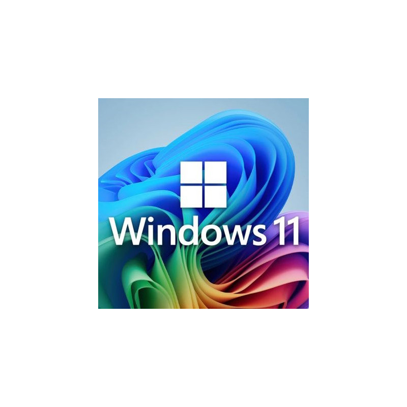 Buy Microsoft Windows 11 Pro USB - Permanent Retail License