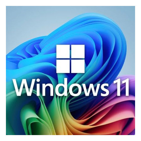 Buy Microsoft Windows 11 Pro USB - Permanent Retail License