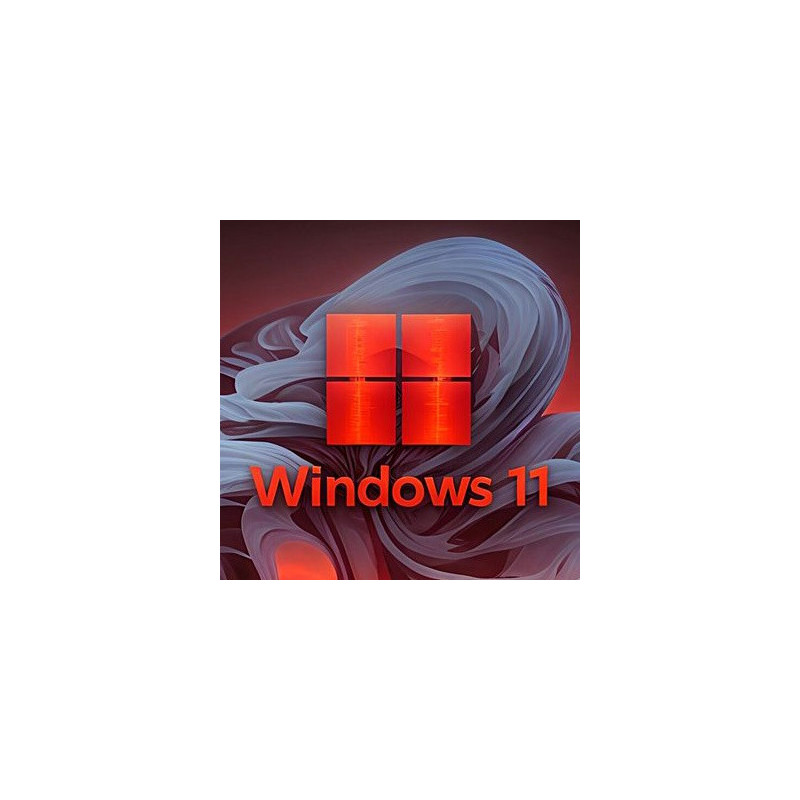 Buy Microsoft Windows 11 Pro USB - Retail License | Permanent Activation