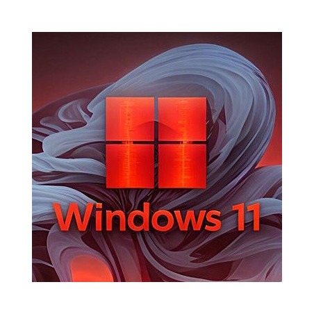 Buy Microsoft Windows 11 Pro USB - Retail License | Permanent Activation