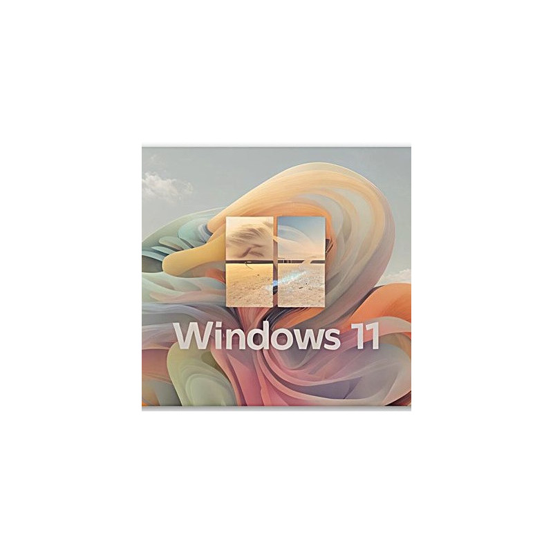 Buy Microsoft Windows 11 Pro USB - Retail Version with Permanent License