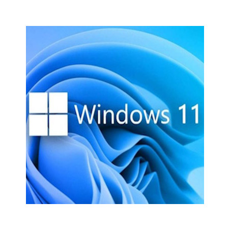 Buy Microsoft Windows 11 Pro USB - Retail Version with Permanent License