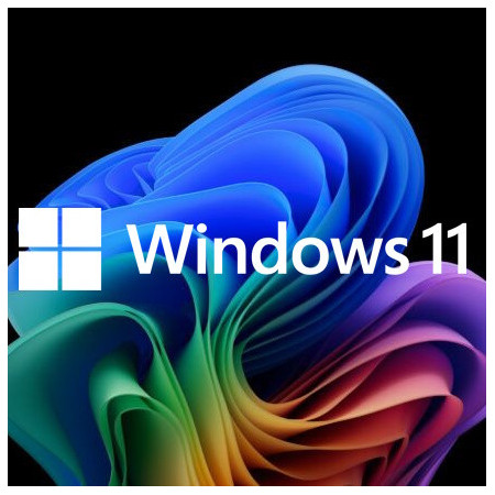 Buy Microsoft Windows 11 Pro USB - Permanent Retail License