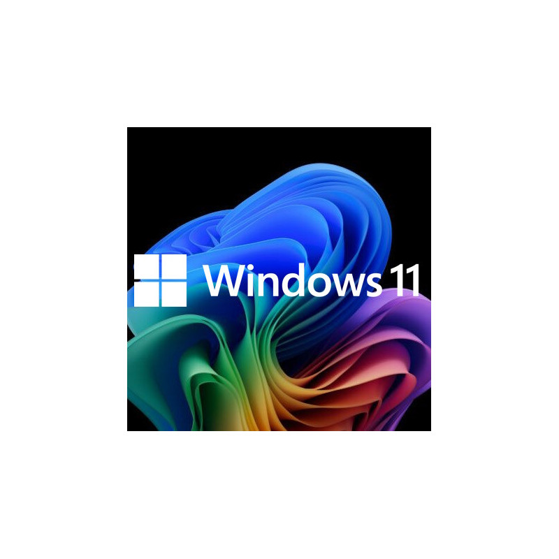 Buy Microsoft Windows 11 Pro USB - Permanent Retail License