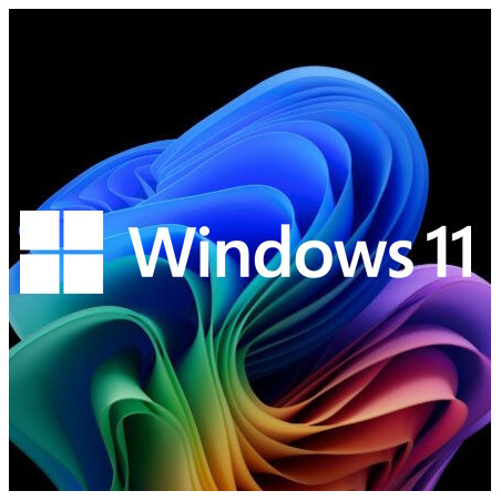 Buy Microsoft Windows 11 Pro USB - Permanent Retail License