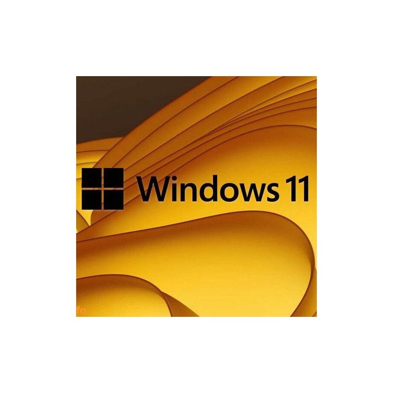 Buy Microsoft Windows 11 Pro USB - Permanent Retail License