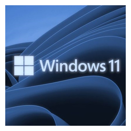 Buy Microsoft Windows 11 Pro USB - Retail Version with Permanent License