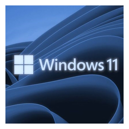 Buy Microsoft Windows 11 Pro USB - Retail Version with Permanent License