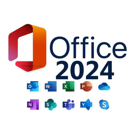 Buy Microsoft Office 2024 Pro Plus with USB Included - Best Price
