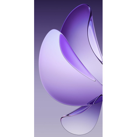 Microsoft Office 2024 Pro Plus - USB Included | Buy Now