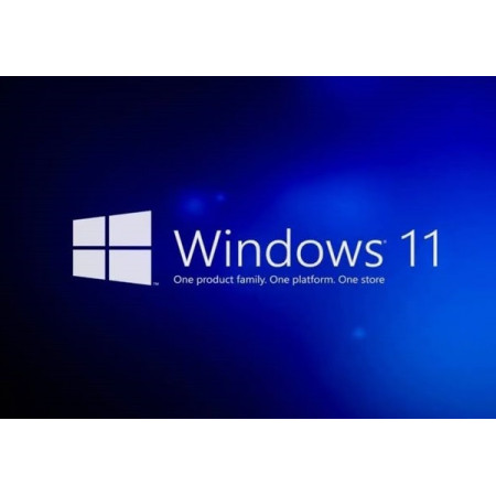 Buy Microsoft Windows 11 Pro USB - Permanent Retail License