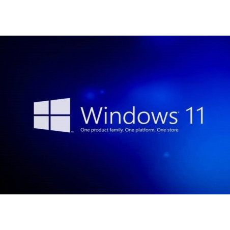 Buy Microsoft Windows 11 Pro USB - Permanent Retail License