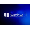 Buy Microsoft Windows 11 Pro USB - Permanent Retail License