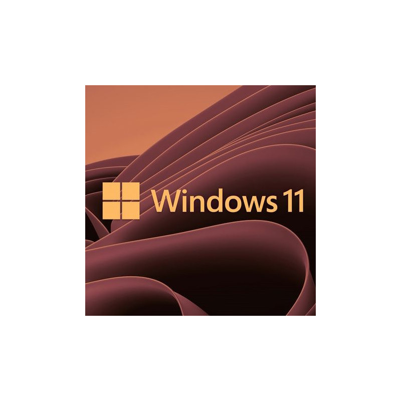 Buy Microsoft Windows 11 Pro USB - Permanent Retail License