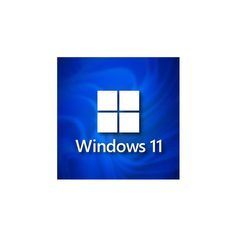 Buy Microsoft Windows 11 Pro USB - Retail Version with Permanent License