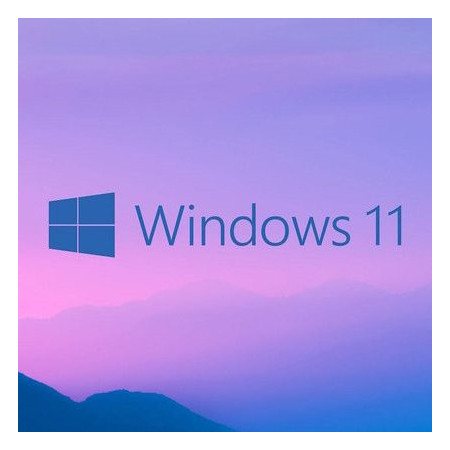 Buy Microsoft Windows 11 Pro USB - Retail License | Permanent Activation