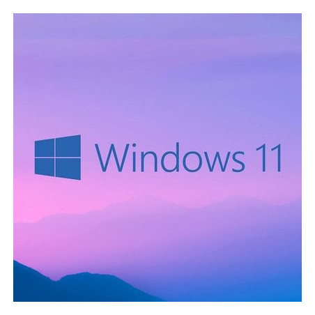 Buy Microsoft Windows 11 Pro USB - Retail License | Permanent Activation