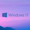 Buy Microsoft Windows 11 Pro USB - Retail License | Permanent Activation