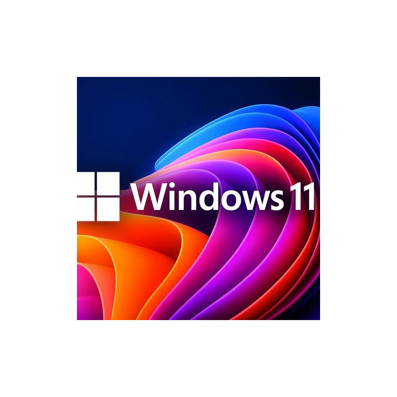 Buy Microsoft Windows 11 Pro USB - Retail License | Permanent Activation