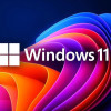 Buy Microsoft Windows 11 Pro USB - Retail License | Permanent Activation