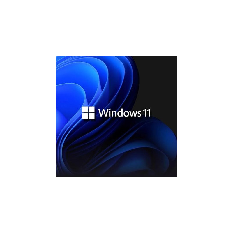 Buy Microsoft Windows 11 Pro USB - Permanent Retail License
