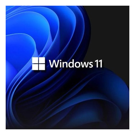 Buy Microsoft Windows 11 Pro USB - Permanent Retail License