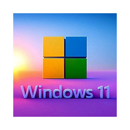 Buy Microsoft Windows 11 Pro USB - Permanent Retail License