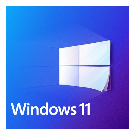 Buy Microsoft Windows 11 Pro USB - Retail License | Permanent Activation