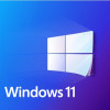 Buy Microsoft Windows 11 Pro USB - Retail License | Permanent Activation