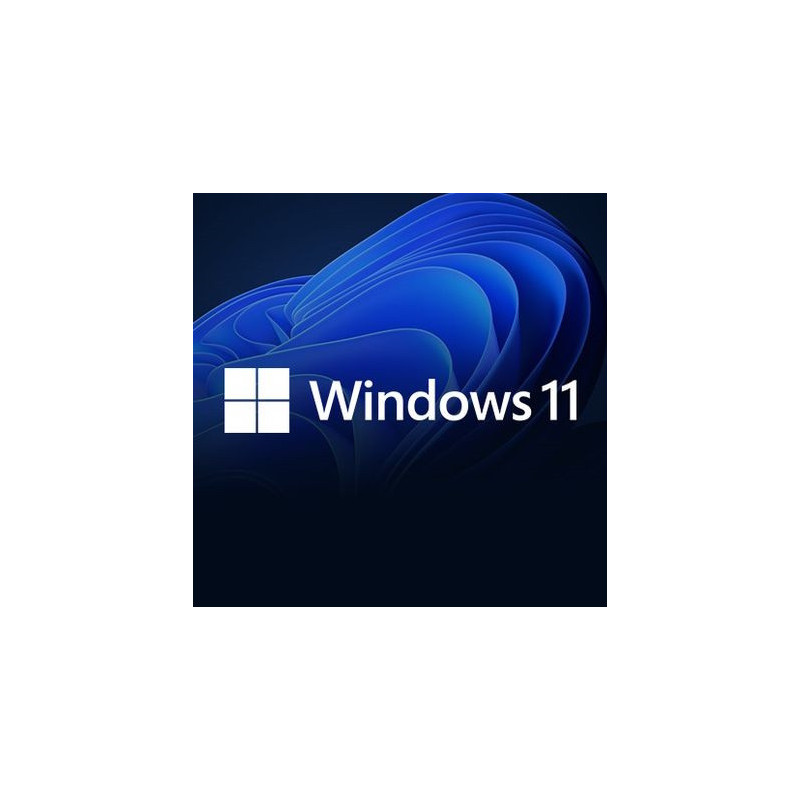 Buy Microsoft Windows 11 Pro USB - Permanent Retail License