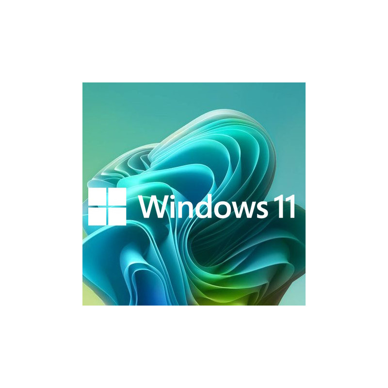 Buy Microsoft Windows 11 Pro USB - Retail Version with Permanent License