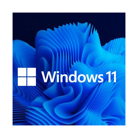 Buy Microsoft Windows 11 Pro USB - Retail Version with Permanent License
