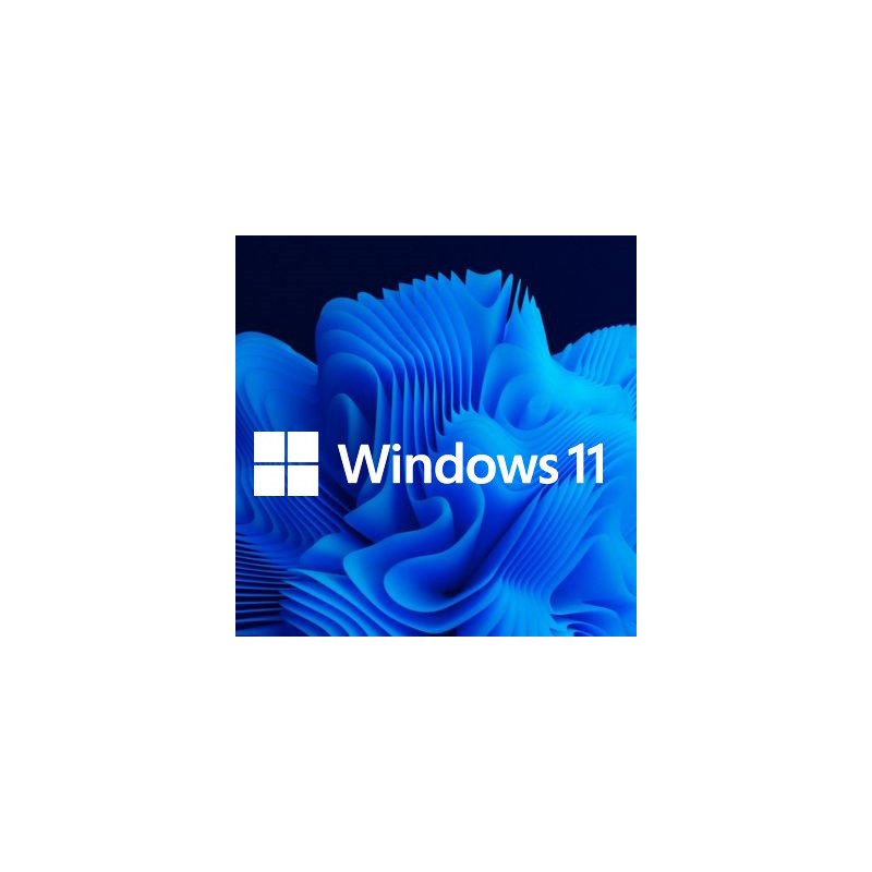 Buy Microsoft Windows 11 Pro USB - Retail Version with Permanent License