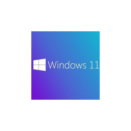 Buy Microsoft Windows 11 Pro USB - Retail Version with Permanent License