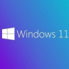 Buy Microsoft Windows 11 Pro USB - Retail Version with Permanent License