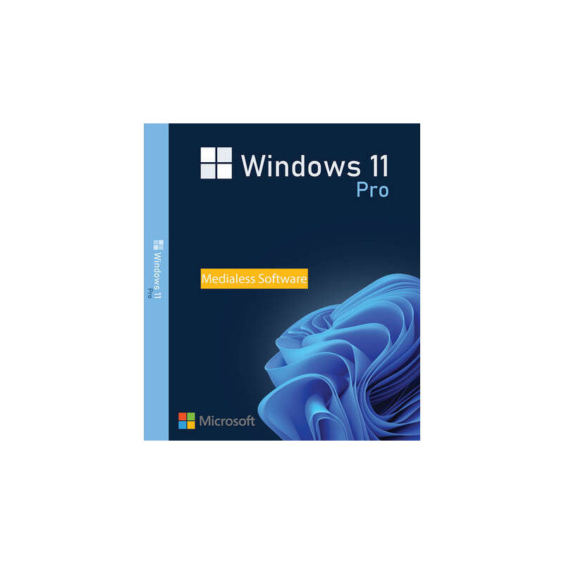 Buy Microsoft Windows 11 Pro USB - Retail Version with Permanent License