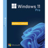 Buy Microsoft Windows 11 Pro USB - Retail Version with Permanent License