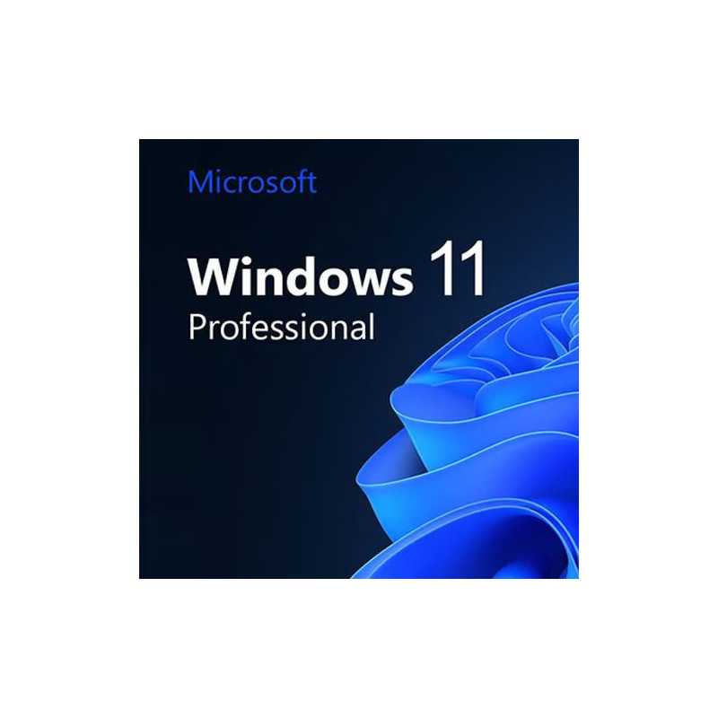 Buy Microsoft Windows 11 Pro USB - Permanent Retail License