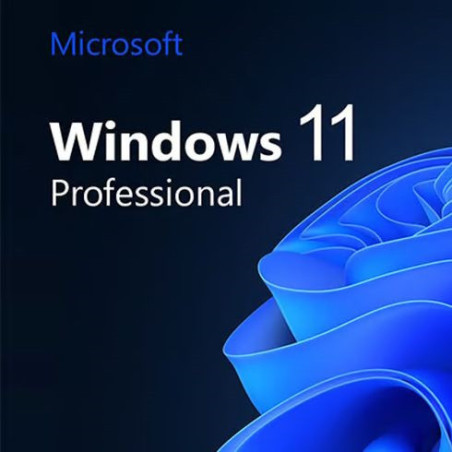 Buy Microsoft Windows 11 Pro USB - Permanent Retail License