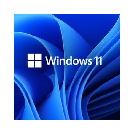 Buy Microsoft Windows 11 Pro USB - Retail, Permanent License