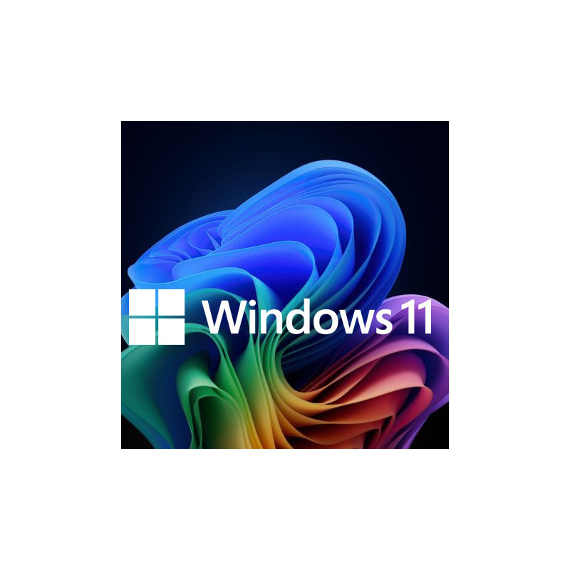 Buy Microsoft Windows 11 Pro USB - Retail Version with Permanent License
