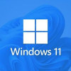 Buy Microsoft Windows 11 Pro USB - Retail Version with Permanent License