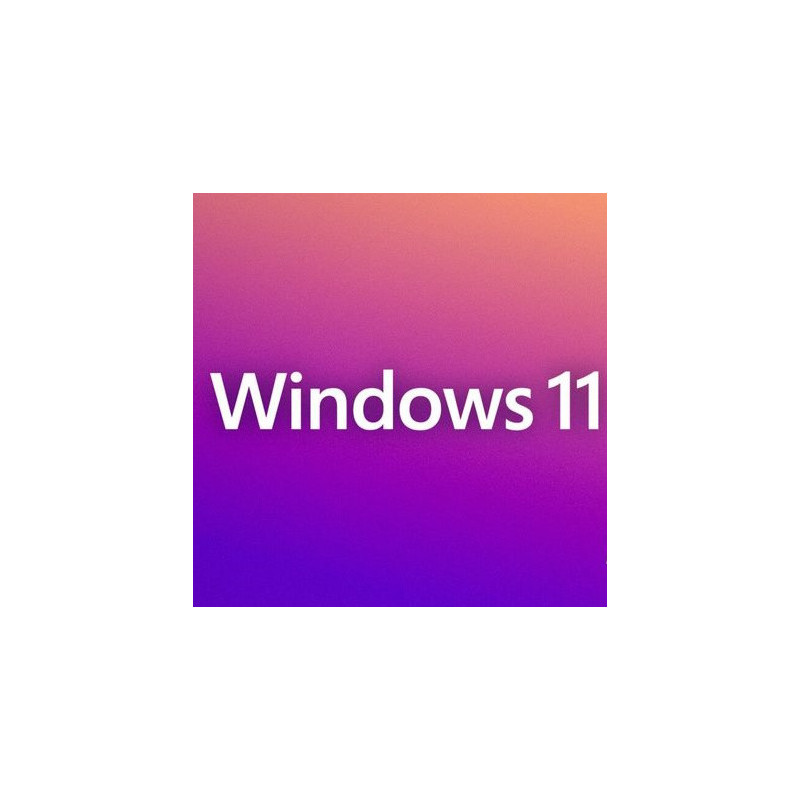 Buy Microsoft Windows 11 Pro USB - Permanent Retail License