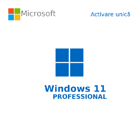 Buy Microsoft Windows 11 Pro USB - Retail Version with Permanent License