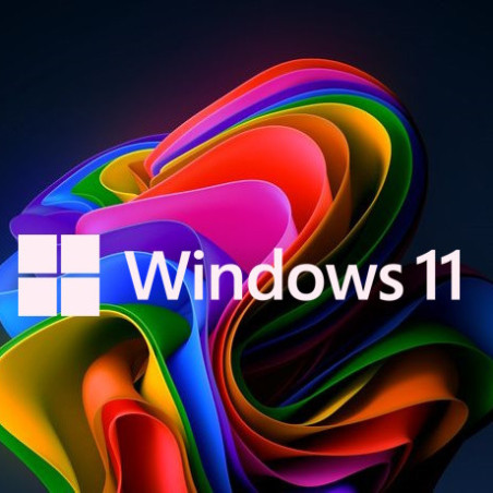 Buy Microsoft Windows 11 Pro USB - Permanent Retail License