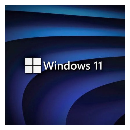 Buy Microsoft Windows 11 Pro USB - Permanent Retail License