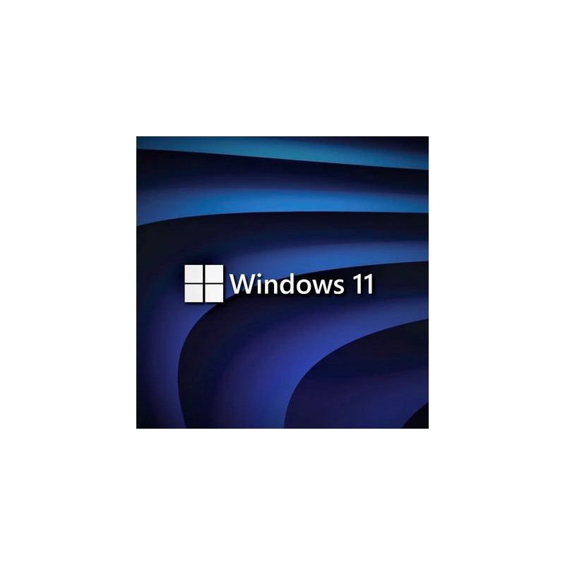Buy Microsoft Windows 11 Pro USB - Permanent Retail License