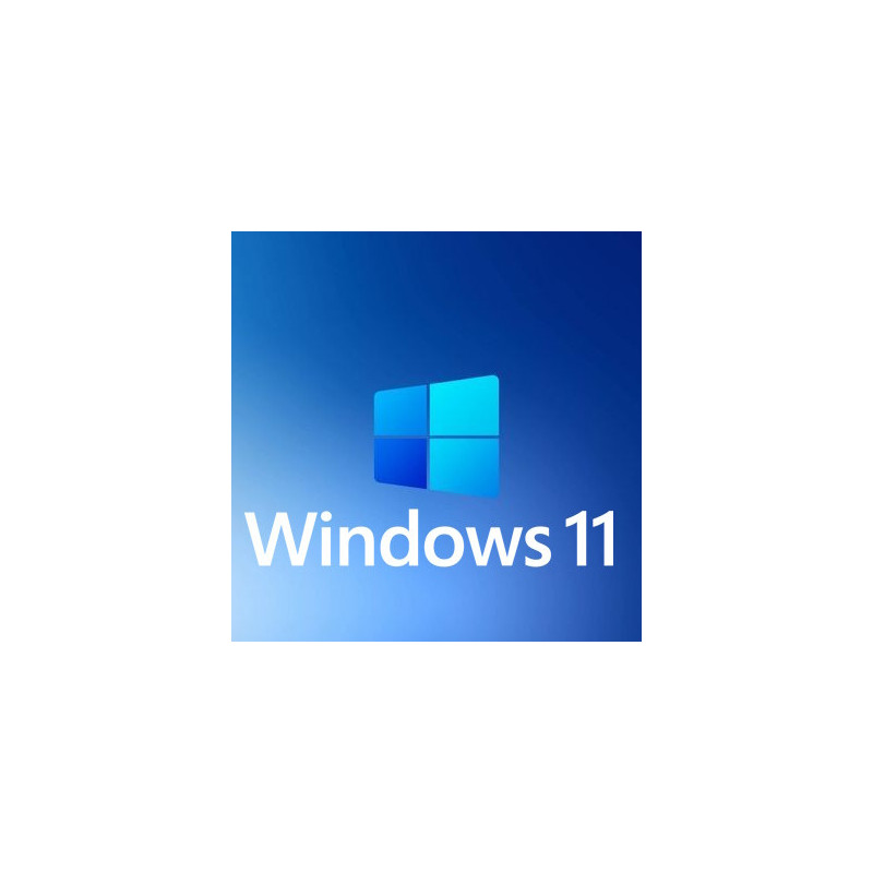 Buy Microsoft Windows 11 Pro USB - Permanent Retail License